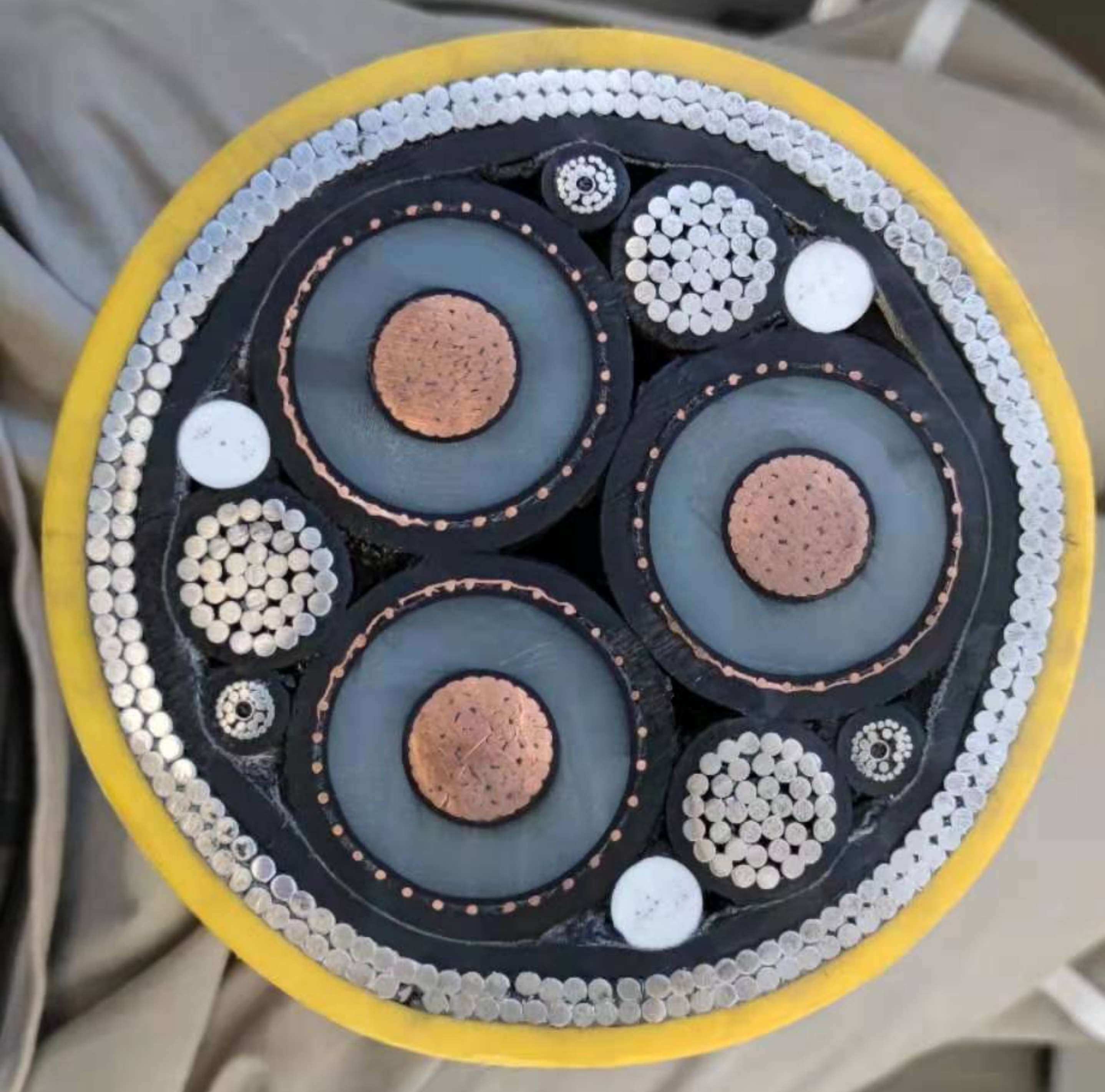 Cross section of a cable